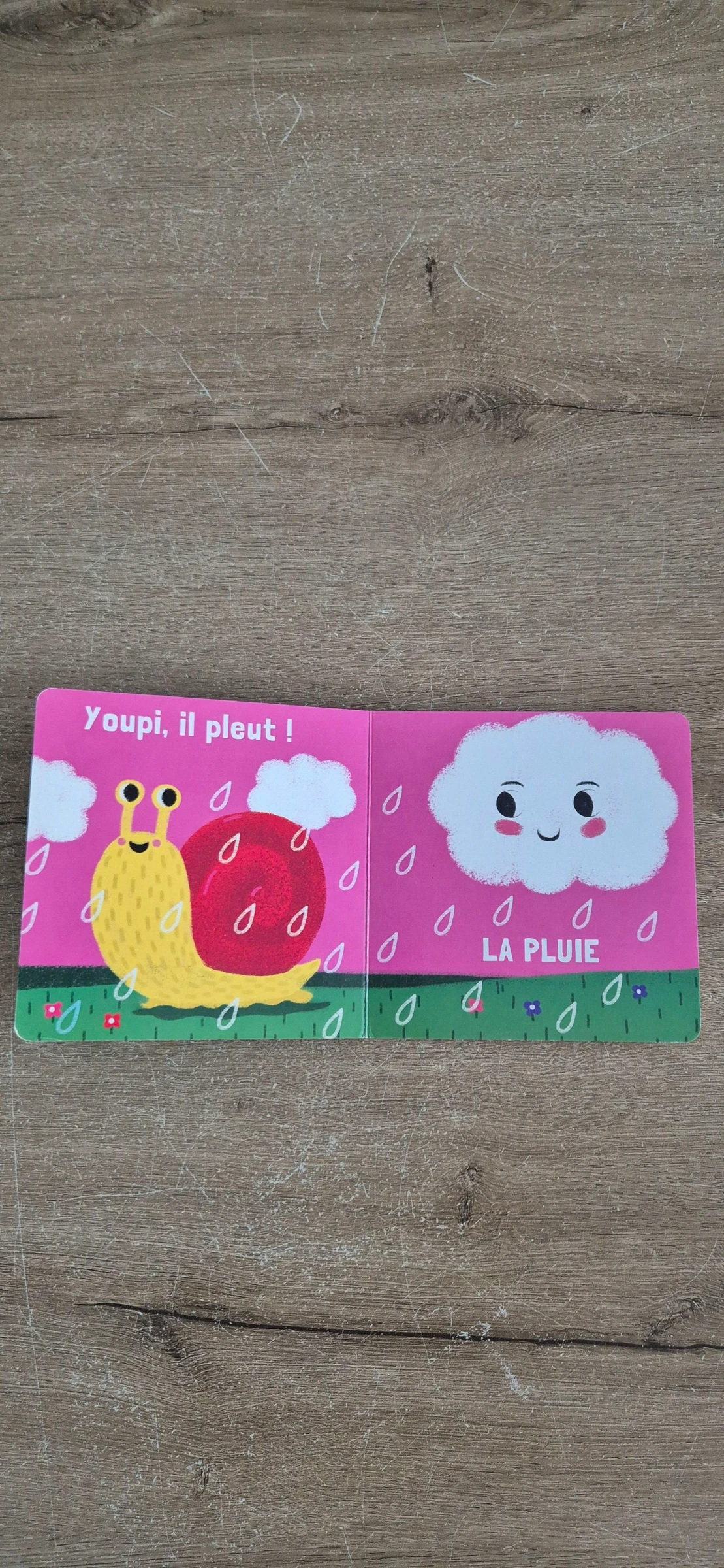 Livre Le temps qu'il fait  – photo 4